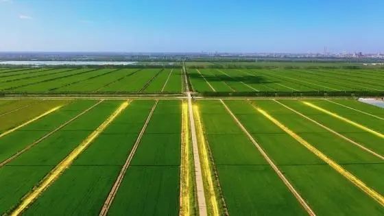 微信圖片_20230808100743.jpg 微信圖片_20230808100743.jpg